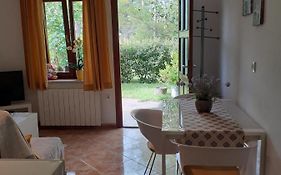 Apartman Dani